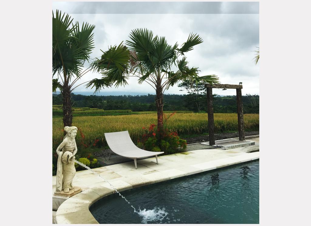Ti Amo Bali Otel Jatiluwih Oda fotoğraf
