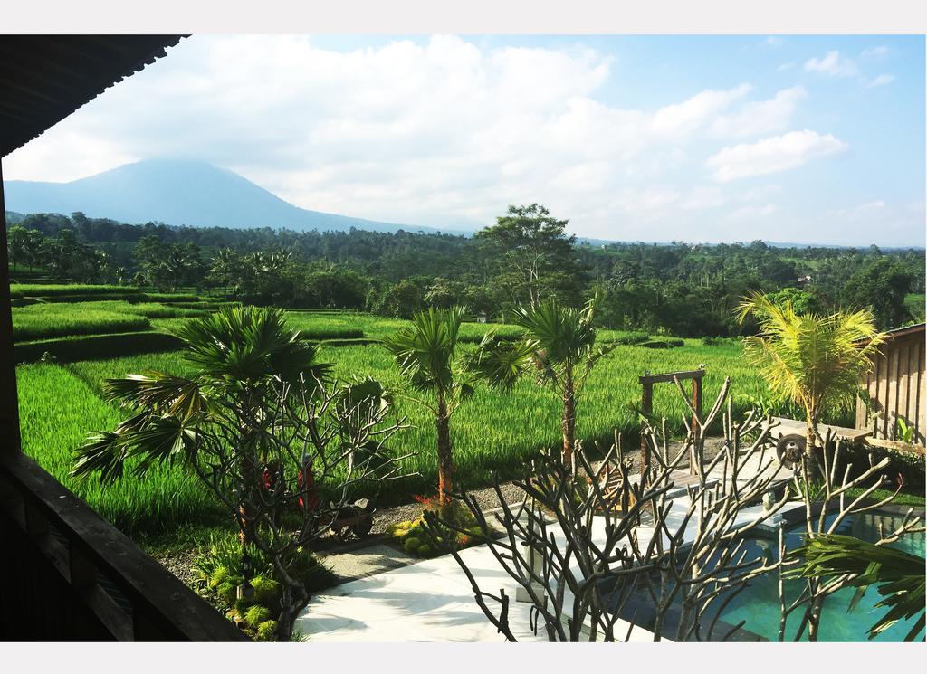 Ti Amo Bali Otel Jatiluwih Dış mekan fotoğraf